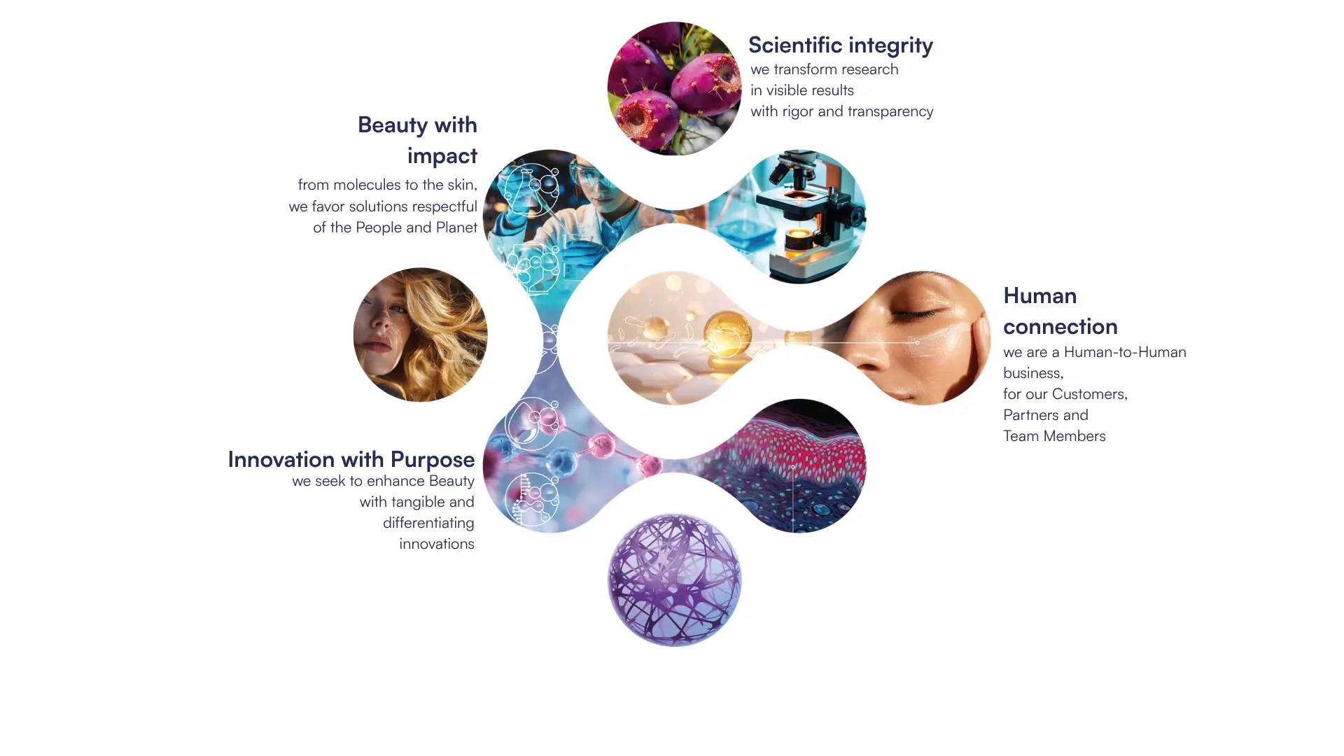 Votre texte de paragraphe(11)